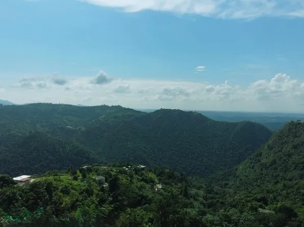 Carr 568 Bo Magueyes #1, Corozal, PR 00783