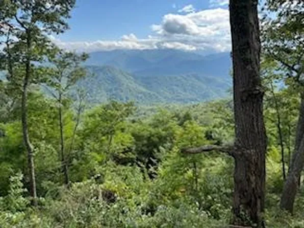 30 Hickory Cove Rd, Bryson City, NC 28713