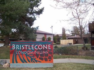 3177 Bristle Branch Dr, Sparks, NV