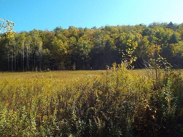 2nd image of 00 Long Hollow Rd