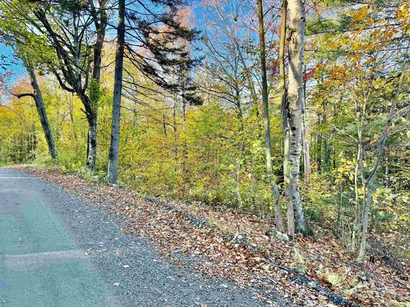 0 Townshend Dam Road, Wardsboro, VT 05355