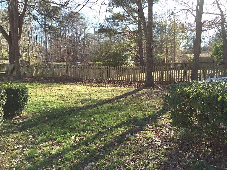 Back Yard