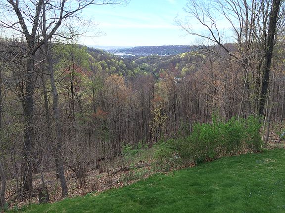 Early Spring View