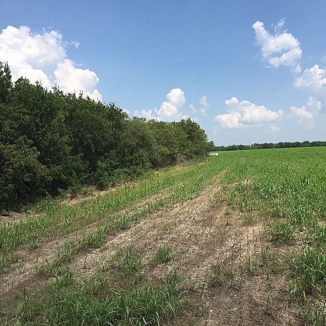 2nd image of Bethel Rd