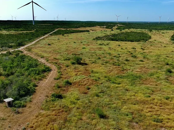 TRACT 4 56ac San Pablo Ave, Bruni, TX 78344
