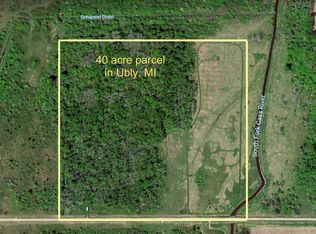 7749 Patterson Rd, Ubly, MI 48475