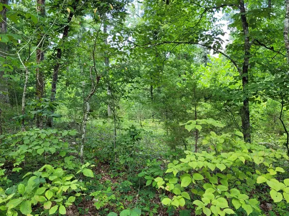 Tall Timber Rd, Hardy, AR 72542