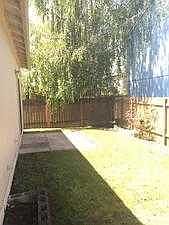 Backyard,DBL Patios