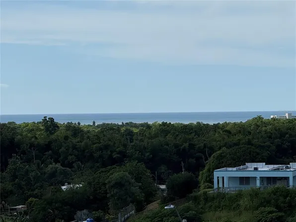 Carr 411 Km .2 Int Bo Calvache, Rincon, PR 00677