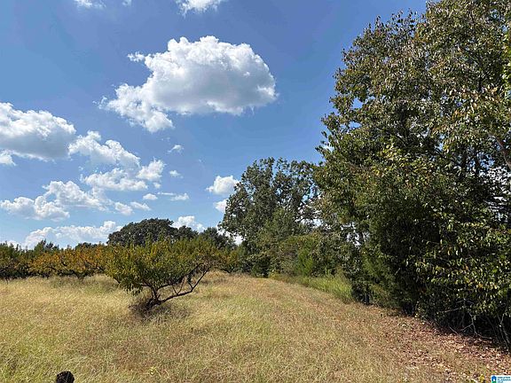 3rd image of 0 County Road 15 #1
