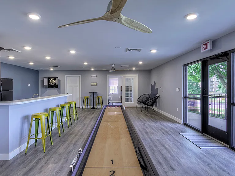 Shuffleboard