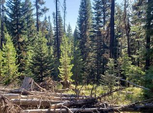 American River Rd, Elk City, ID 83525