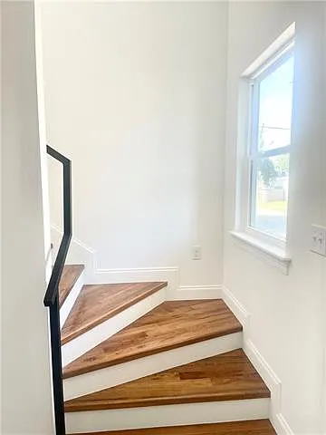 4816 Thalia St — Photo 14