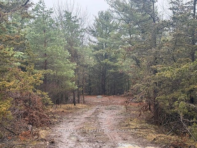 2nd image of 590 Love Rd