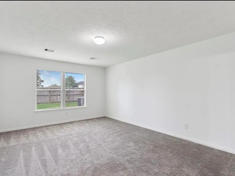 16119 Peach Bluff Ln — Photo 13