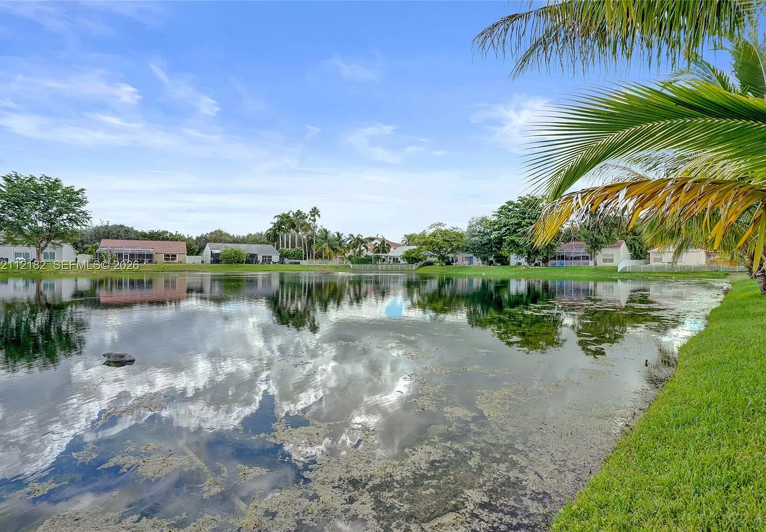 Flamingo Estates — Photo 4