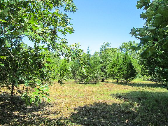 5th image of Charter Dr