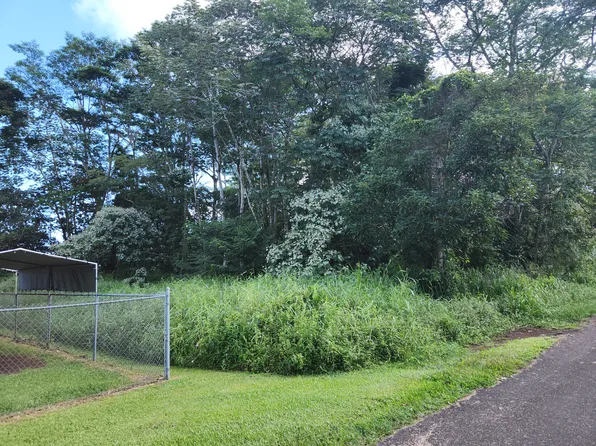 Hou St Lot 5, Pahoa, HI 96778