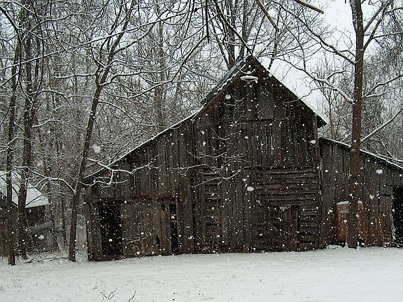 Barn & Chicken Coop