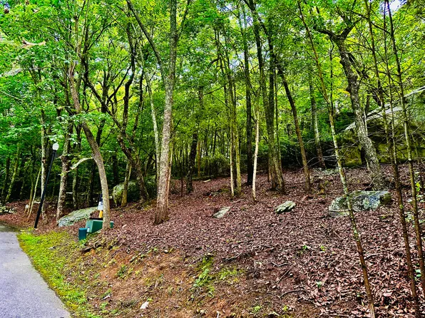 0 Eagle Creek Trl Lot 5, Rising Fawn, GA 30738