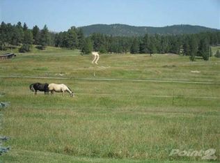 11416 Pass Creek Rd, Custer, SD 57730