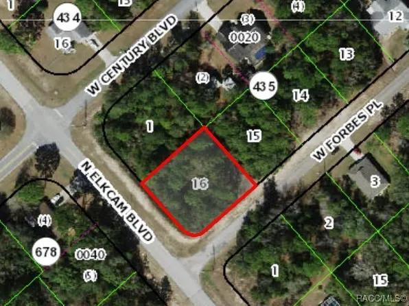 2851 W Forbes Pl, Citrus Springs, FL 34434