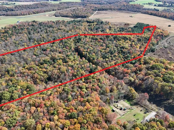 Along Bird Ln, Strongstown, PA 15957