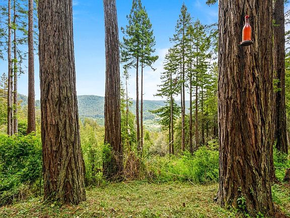 4th image of 19 Madrone Drive