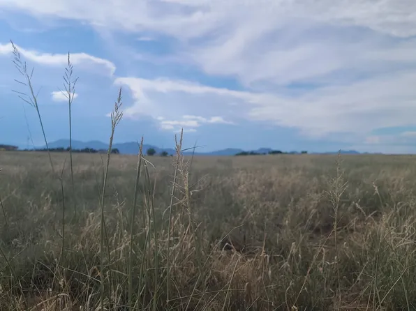 177 Hale Rd, Stanley, NM 87056