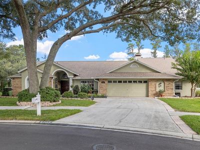 5707 Piney Lane Dr, Tampa, FL, 33625