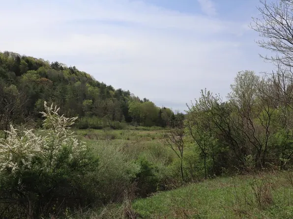 0 Mosier Rd, Wyalusing, PA 18853