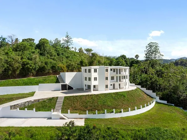 Carr 171 Mogote, Cayey, PR 00736