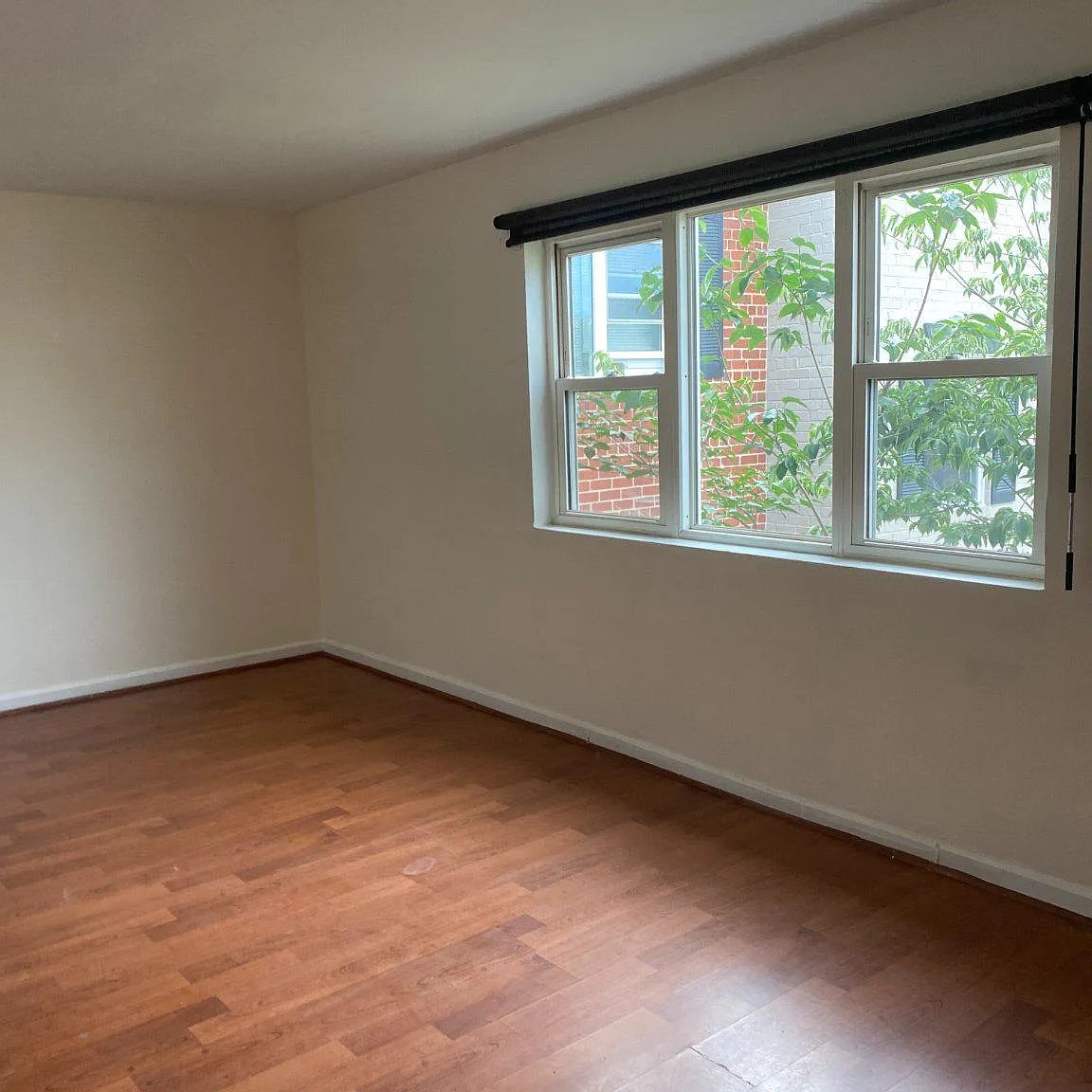 1 bed, 1.0 bath, 566 sqft, $1,550 — Photo 3