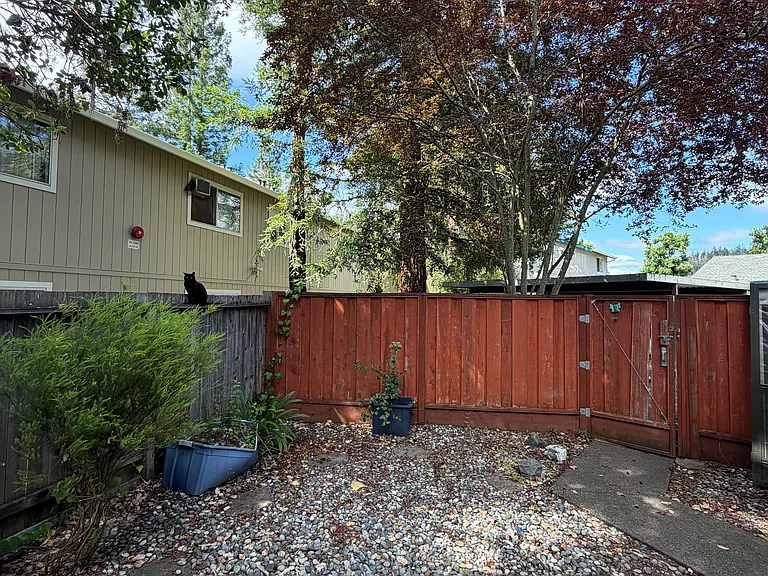 87 Randall Ln — Photo 19