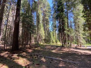 2-B-6 Crestview Cir, McCloud, CA 96057