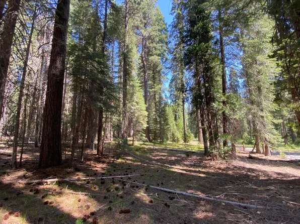 2-B-6 Crestview Cir, McCloud, CA 96057