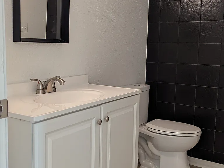 Second Bath Downstairs