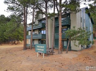 200 Riverside Dr #4, Estes Park, CO 80517
