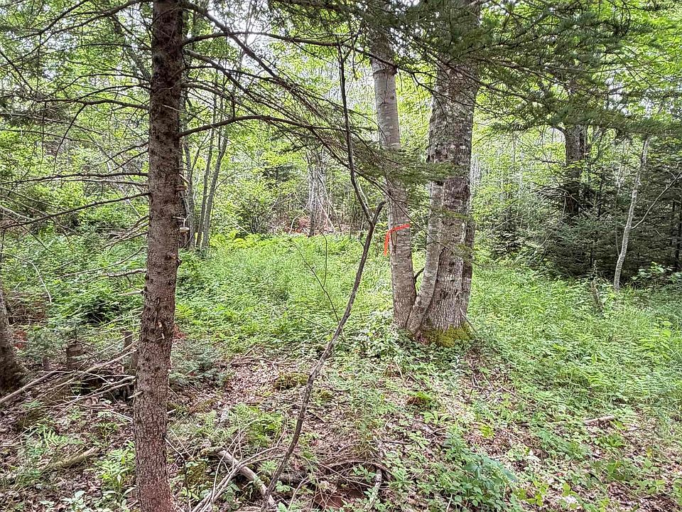 1st image of LOT 2026 Perotte Rd