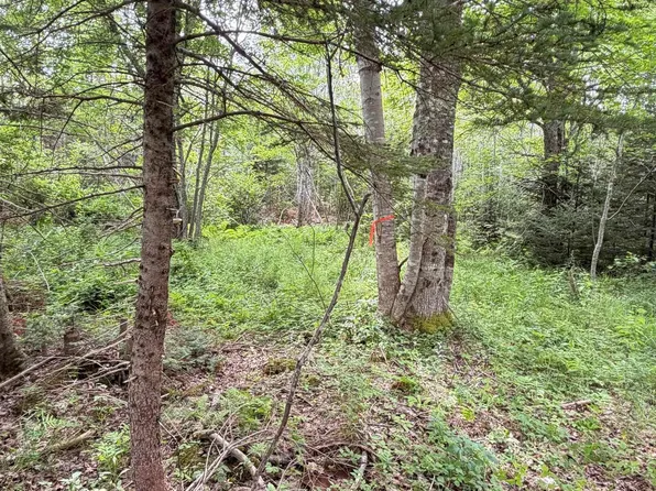 LOT 2026 Perotte Rd, Perotte, NS B0S 1A0