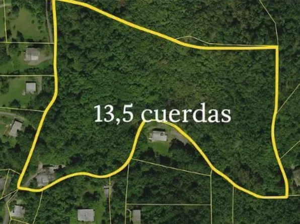 Carr 160 Km #Home 10.6, Vega Baja, PR 00693