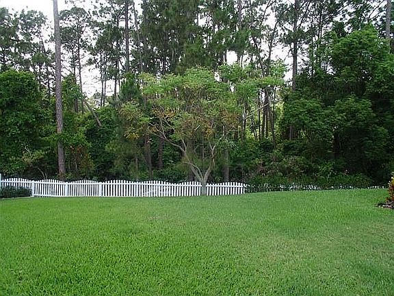 Fabulous Conservation Lot