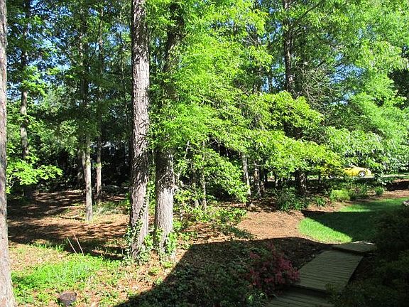 TREE-BUFFERED BACKYARD