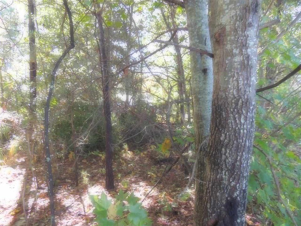 2nd image of 2225 New Cut Rd