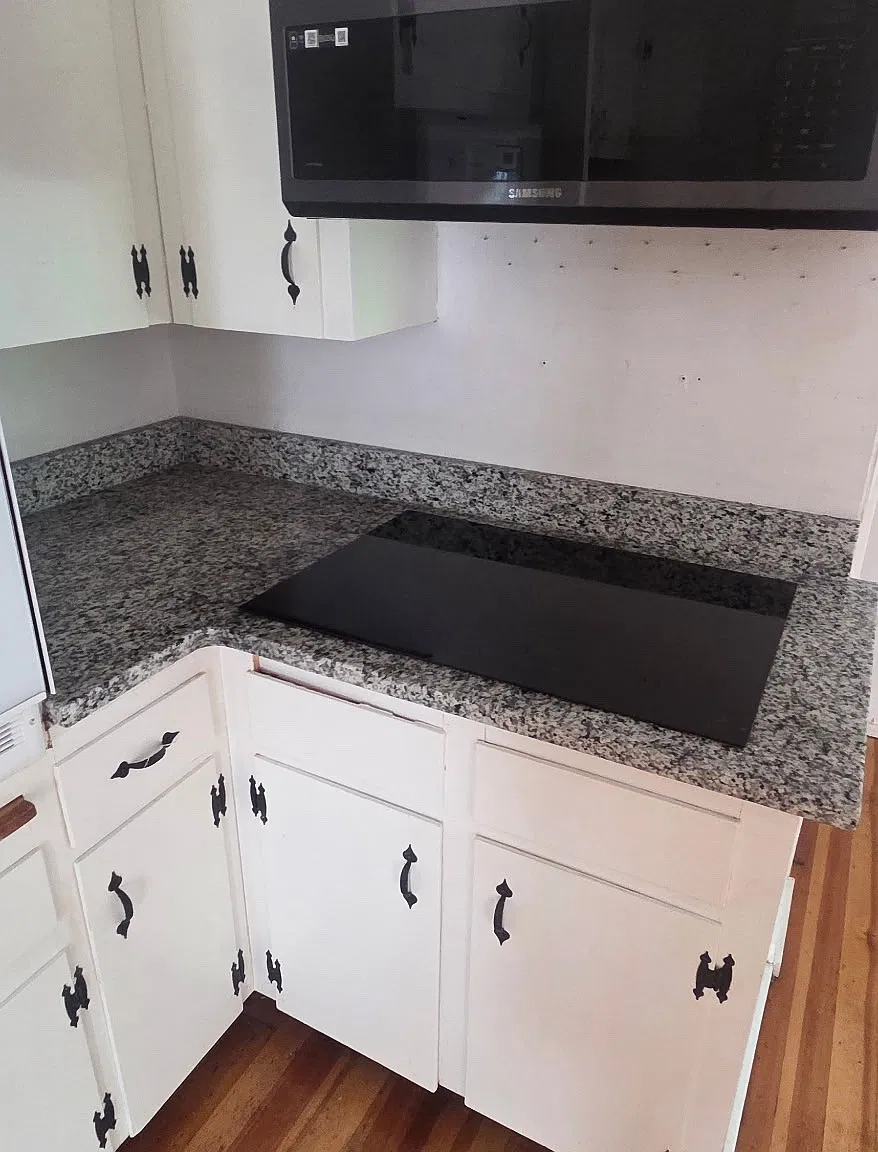 3 bed, 1000 sqft, $2,700 — Photo 3