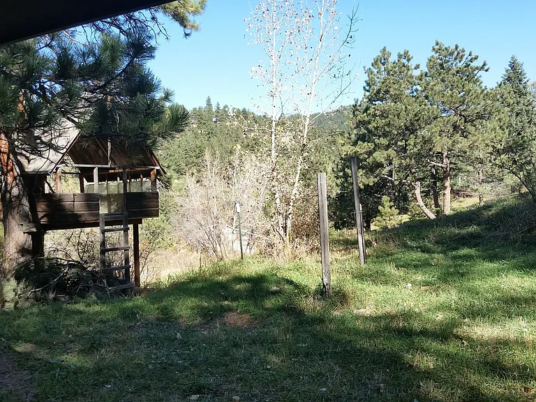 853 Wagonwheel Gap Rd — Photo 4