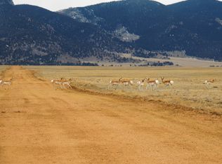 8561 Larimer Rd, Hartsel, CO 80449