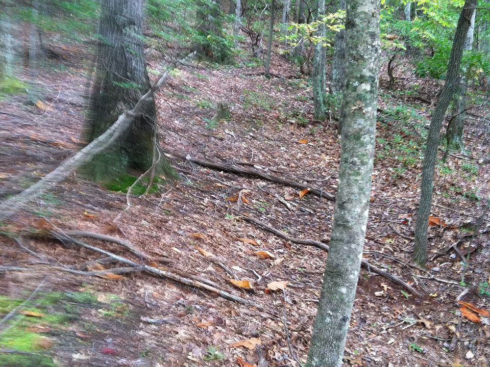 1st image of Bristol Ln