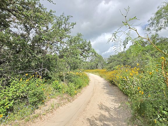 3rd image of 289 ZIGMOND RD