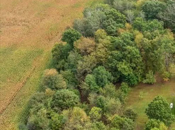 0 Adams Rd, Stockbridge, MI 49285